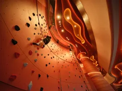Rock Climbing Wall