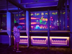 Laser Gun · Voyage Battle